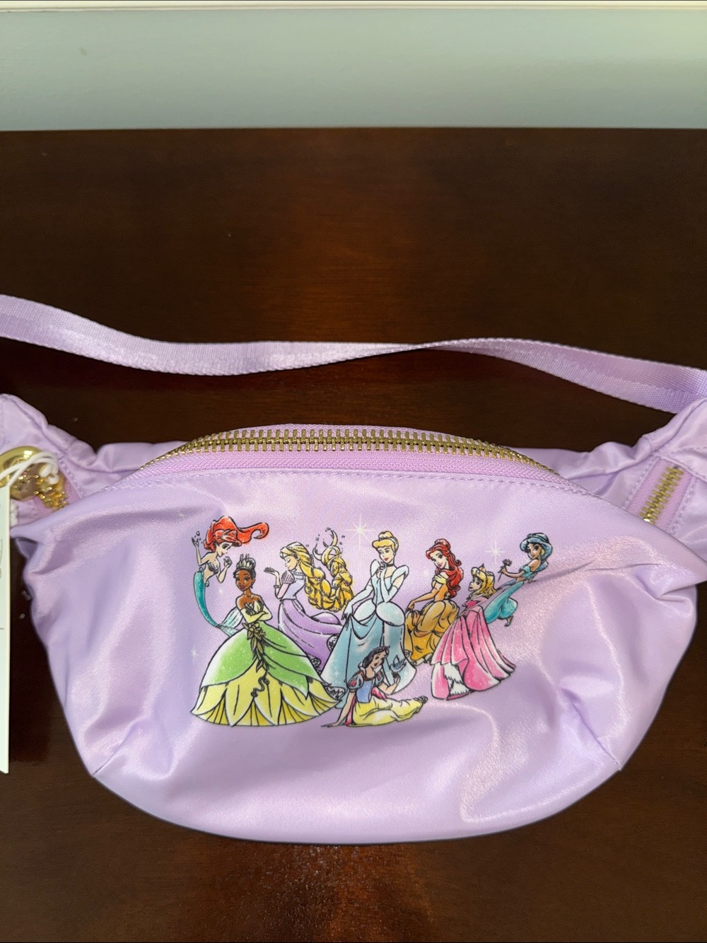 Stoney Clover Lane Disney Princess Jumbo Fanny Pack
